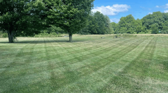 The Benefits of Professional Lawn Care Services in Kent, Ohio